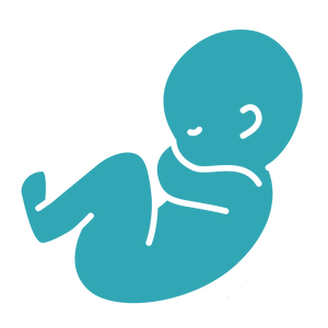 Team Page: test team